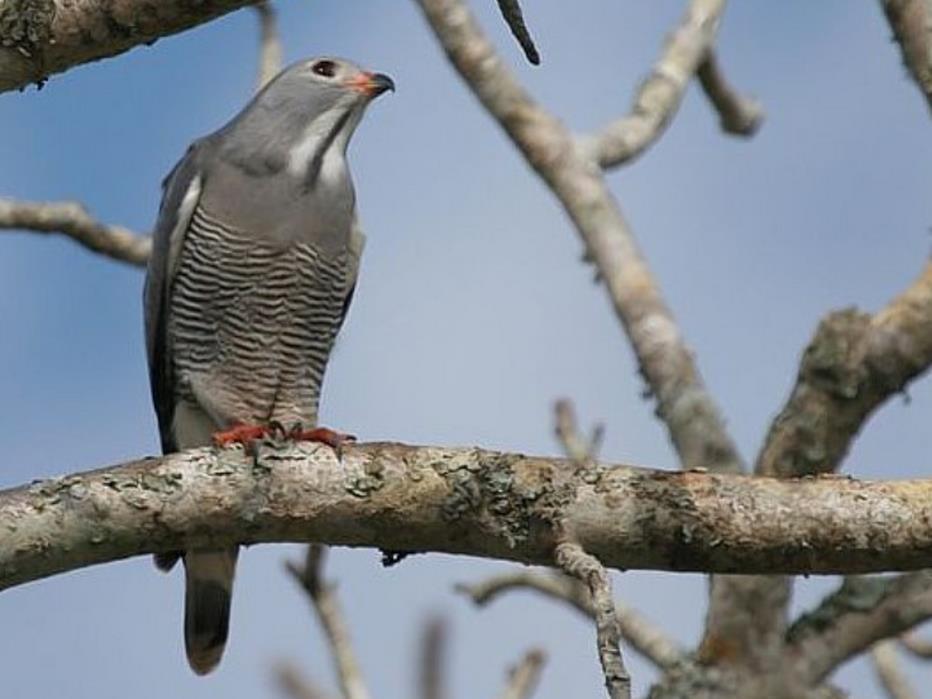 شقة Avian Leisure بلدة سيمون المظهر الخارجي الصورة